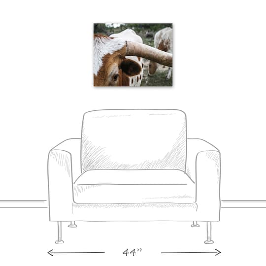 Close Up Highland 20" x 16" Canvas Wall Art